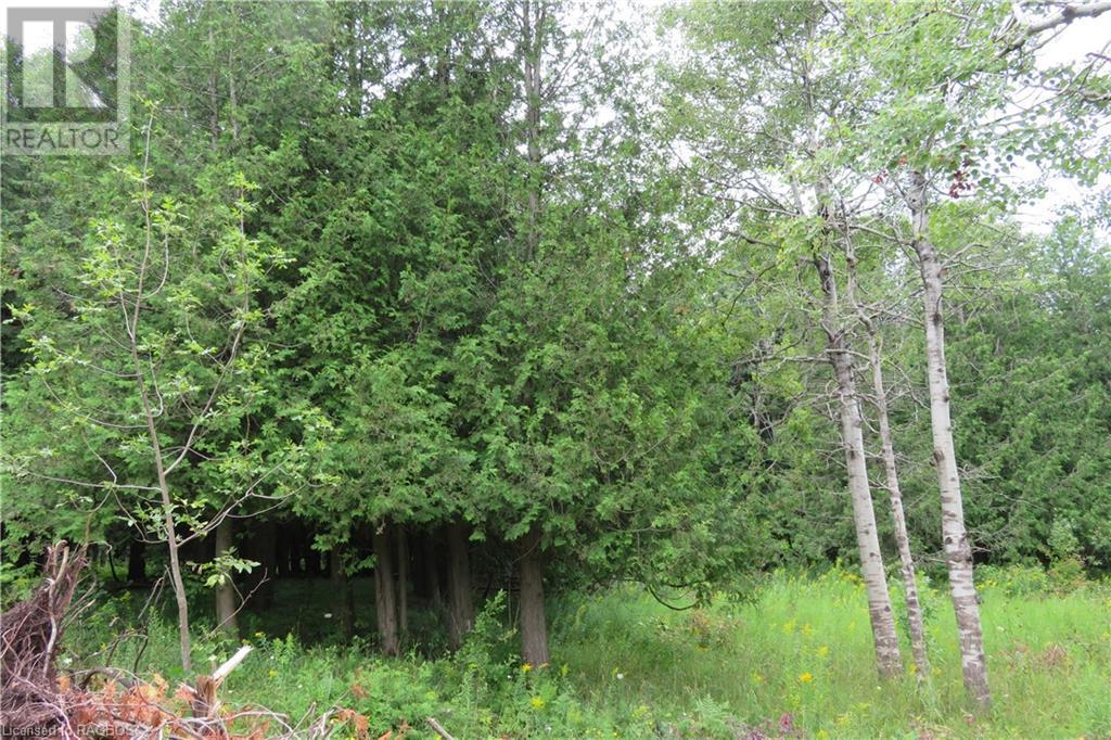 Listing 40288786 - Large Photo # 12