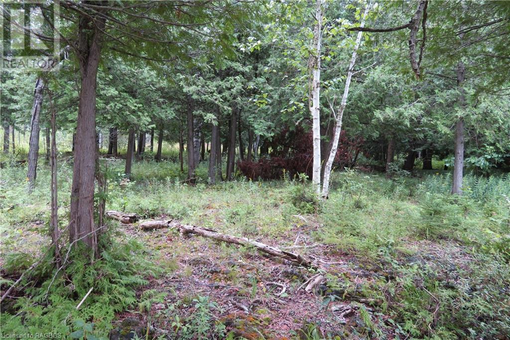 Listing 40288786 - Large Photo # 14