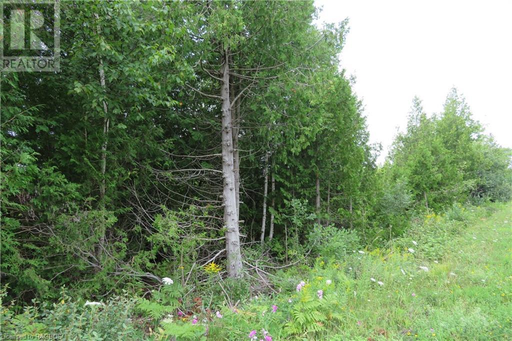 Listing 40288786 - Large Photo # 16