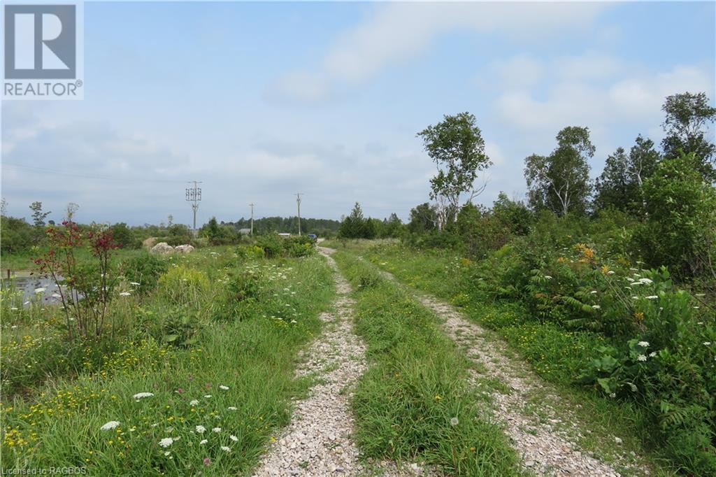 Listing 40288788 - Large Photo # 5