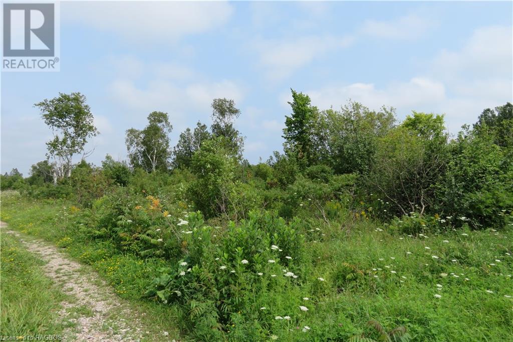 Listing 40288788 - Large Photo # 4