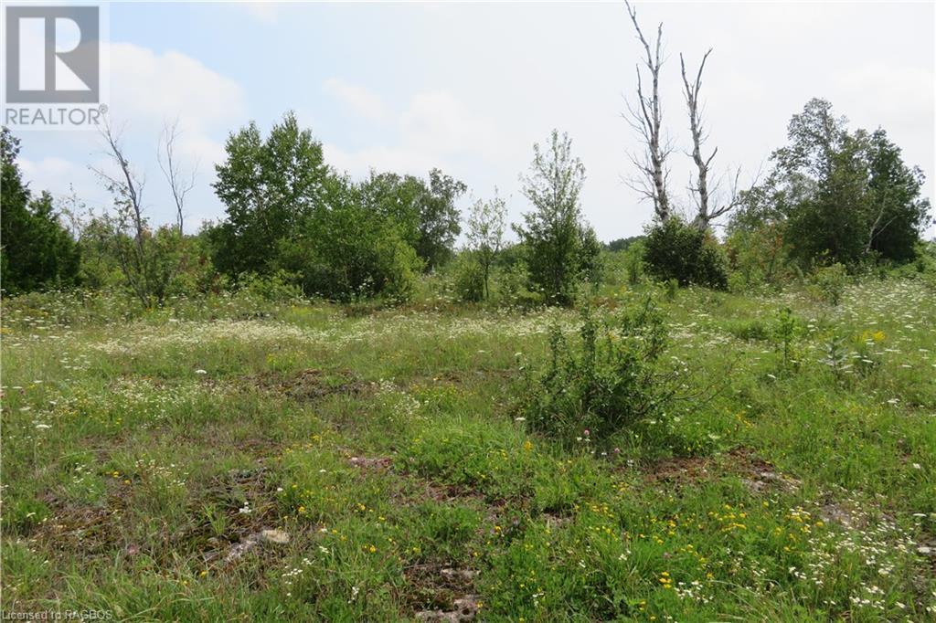 Listing 40288788 - Large Photo # 15