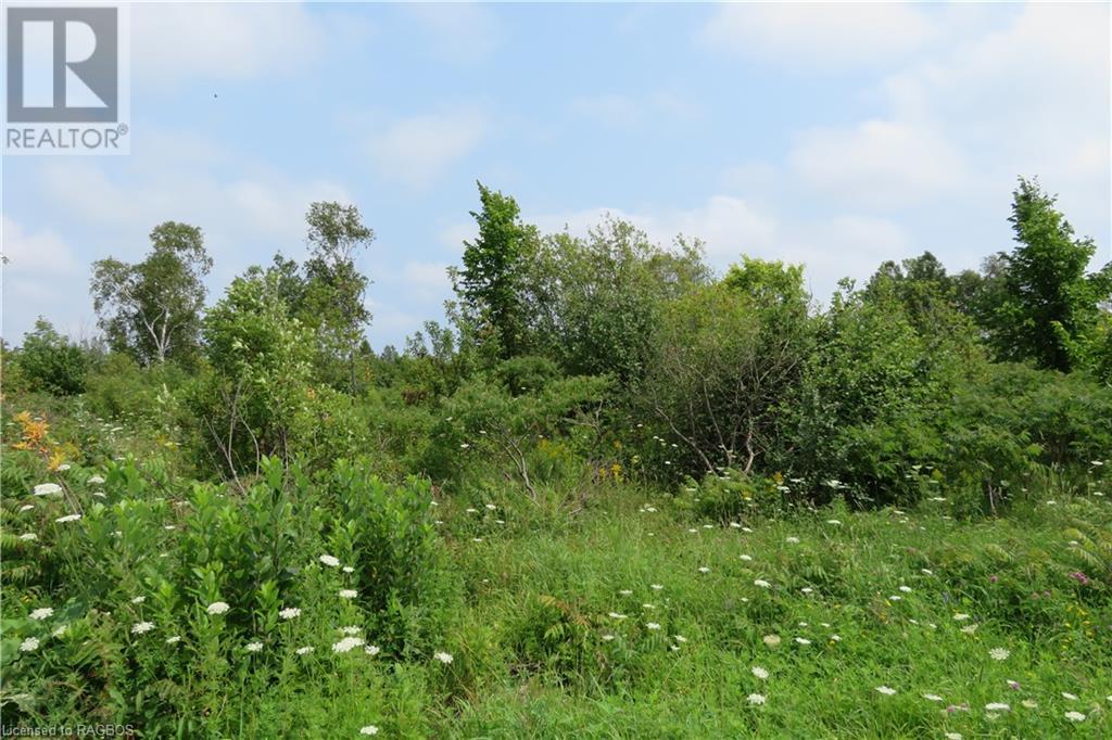 Listing 40288788 - Large Photo # 8