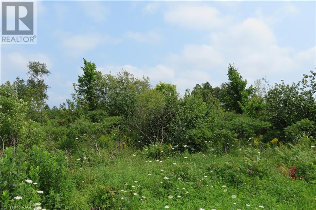 Listing 40288788 - Large Photo # 6