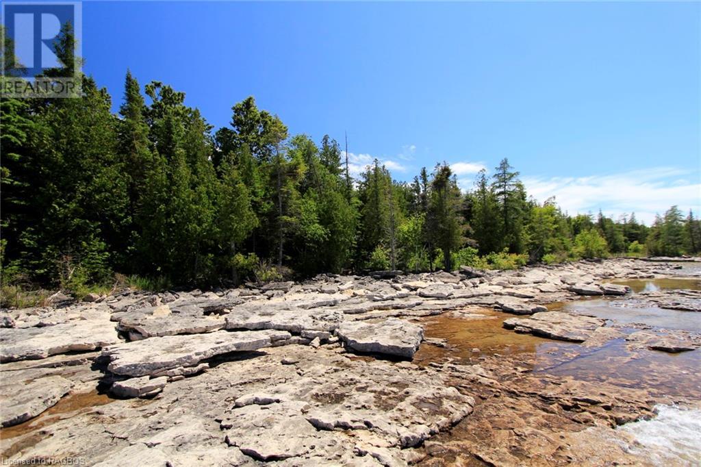 Listing 40292363 - Large Photo # 11