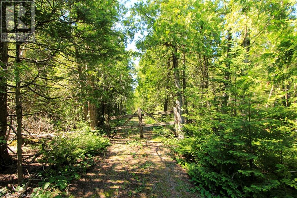 Listing 40292363 - Large Photo # 40