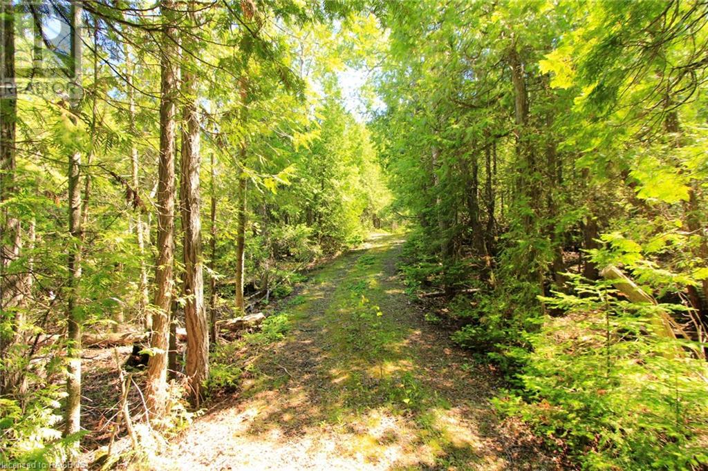 Listing 40292363 - Large Photo # 29