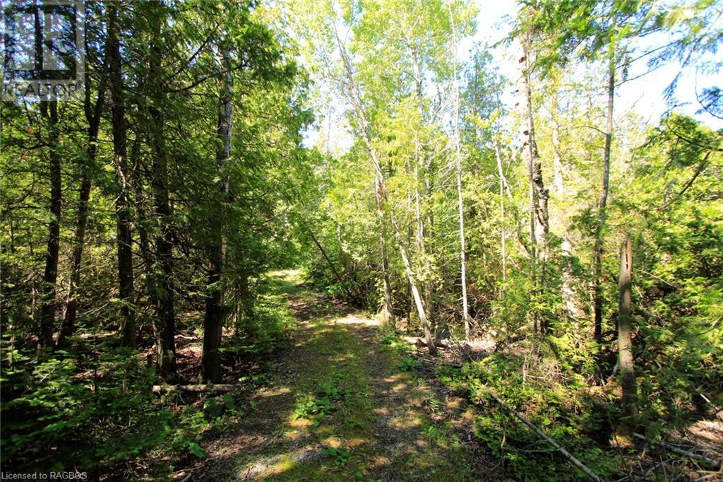 Listing 40292363 - Large Photo # 30
