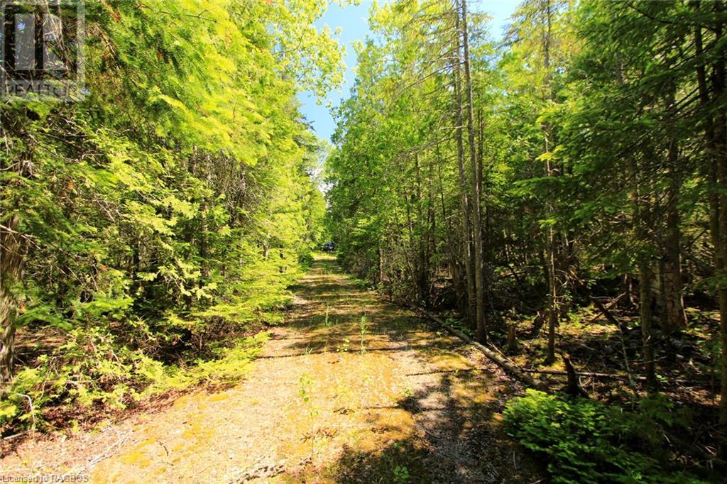 Listing 40292363 - Large Photo # 32