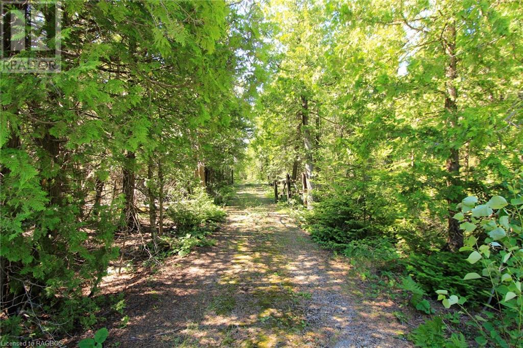 Listing 40292371 - Large Photo # 39