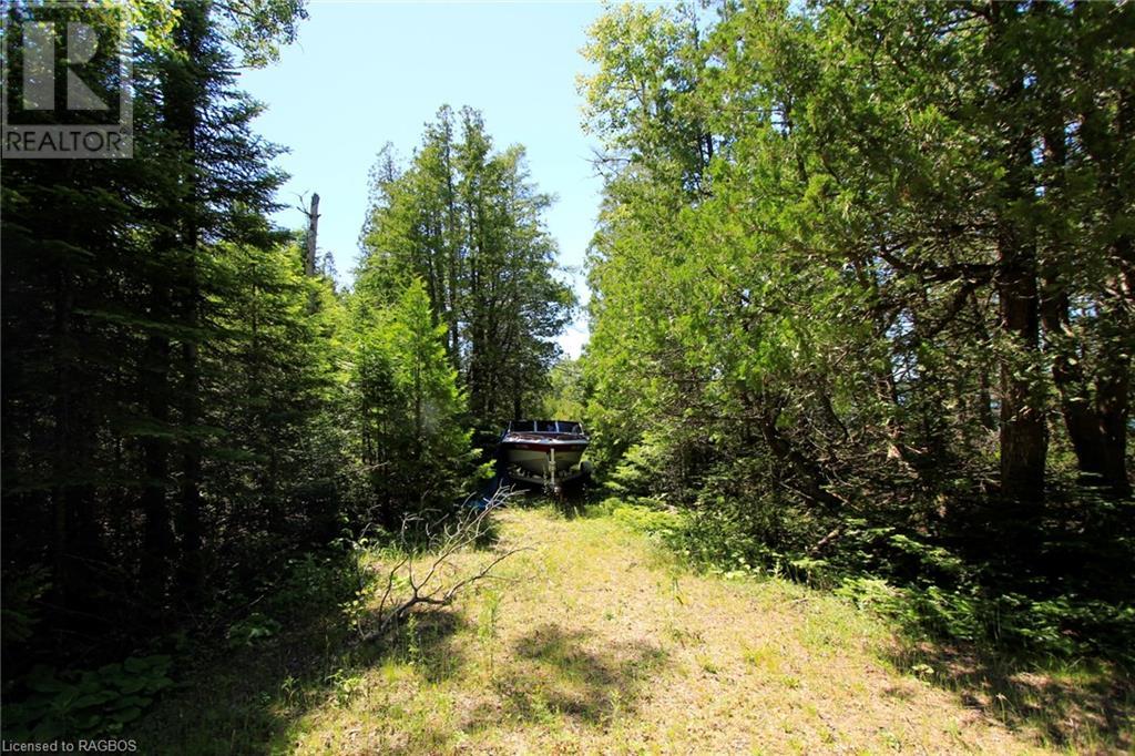 Listing 40292371 - Large Photo # 31
