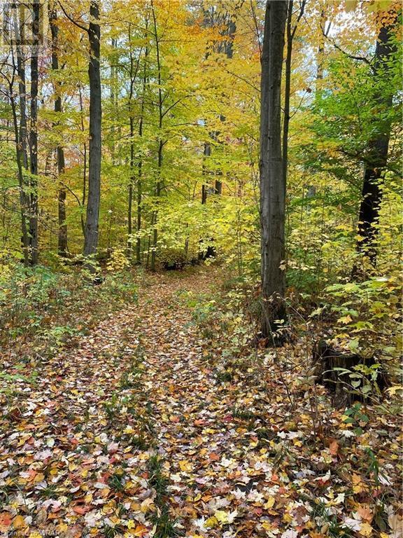 Listing 40292771 - Large Photo # 36