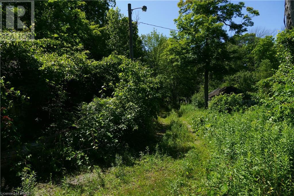 Listing 40296533 - Large Photo # 5