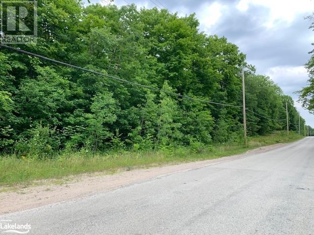 Listing 40297032 - Large Photo # 15