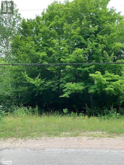 Listing 40297032 - Large Photo # 3
