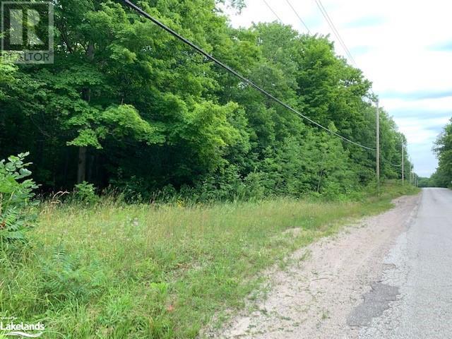 Listing 40297032 - Large Photo # 12