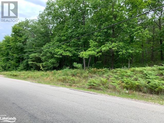 Listing 40297032 - Large Photo # 10