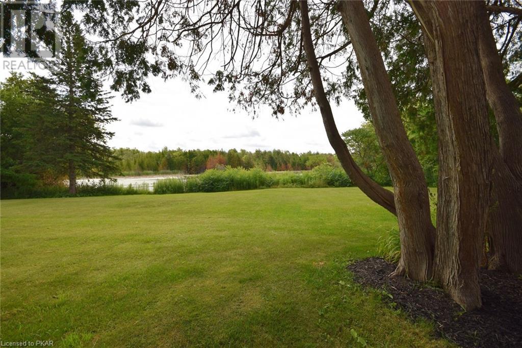 Listing 40301906 - Large Photo # 49