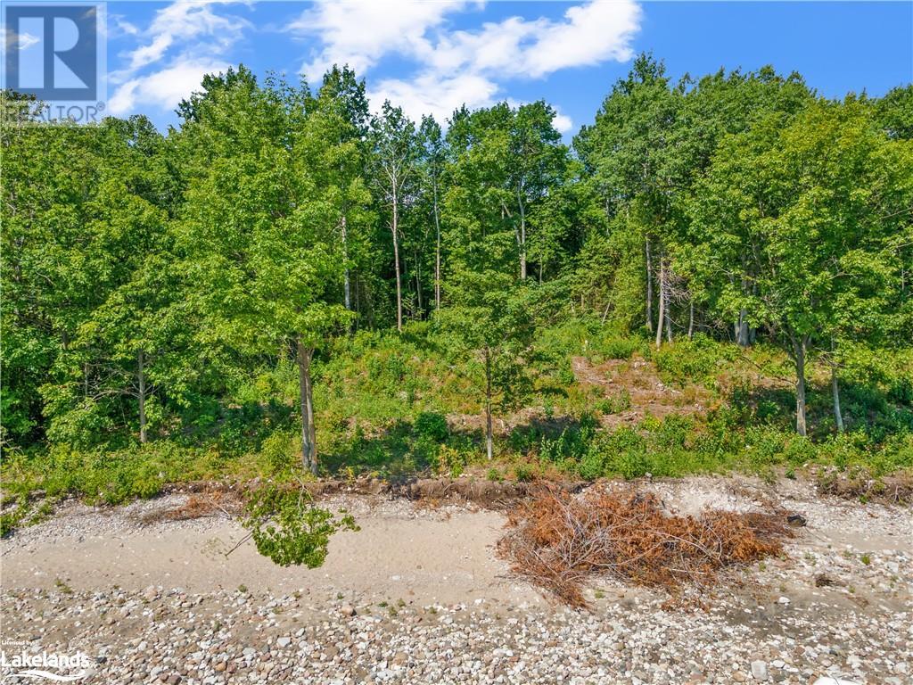 Listing 40302520 - Large Photo # 21