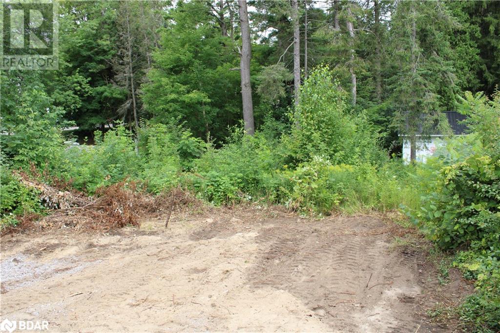 Listing 40304868 - Large Photo # 4