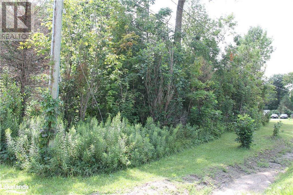 Listing 40305526 - Large Photo # 14