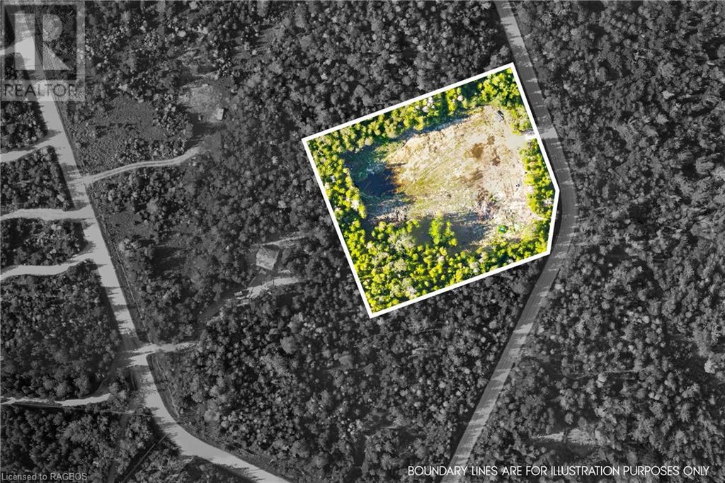 Listing 40307349 - Large Photo # 41