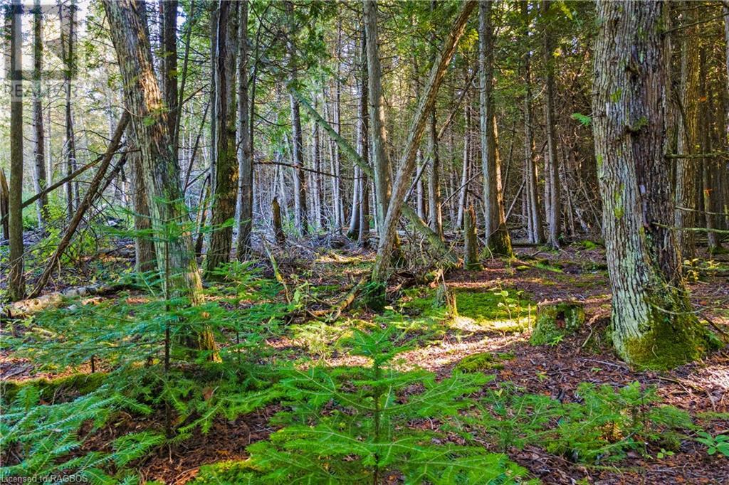 Listing 40307349 - Large Photo # 10