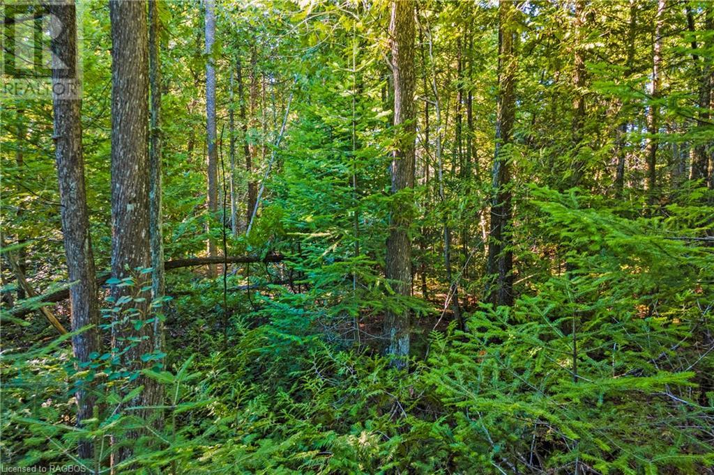 Listing 40307349 - Large Photo # 12