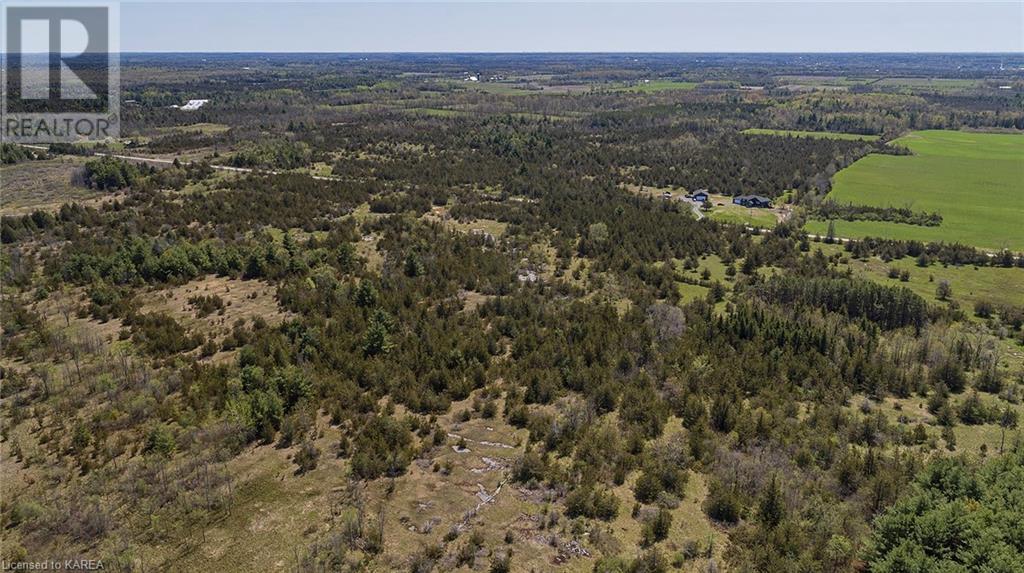 Listing 40311247 - Large Photo # 8