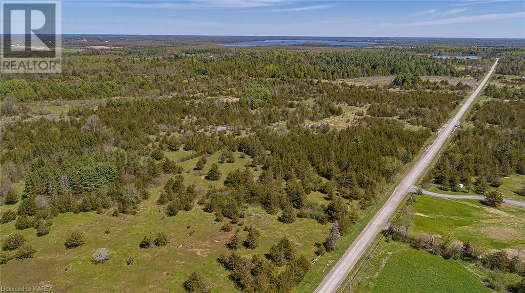 Listing 40311247 - Large Photo # 4