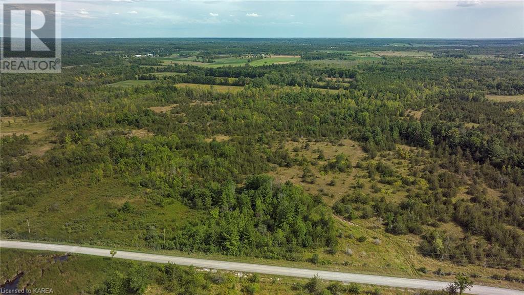 Listing 40311714 - Large Photo # 2