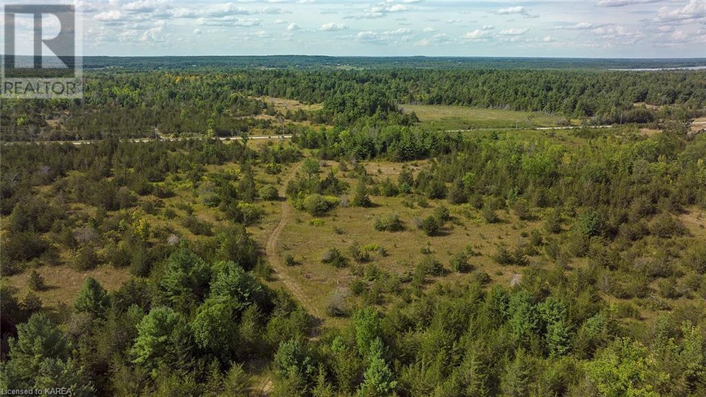 Listing 40311714 - Large Photo # 8