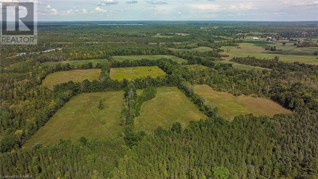 Listing 40311714 - Large Photo # 5