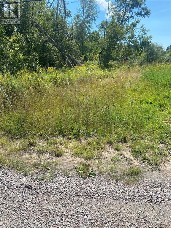 Listing 40312335 - Large Photo # 1