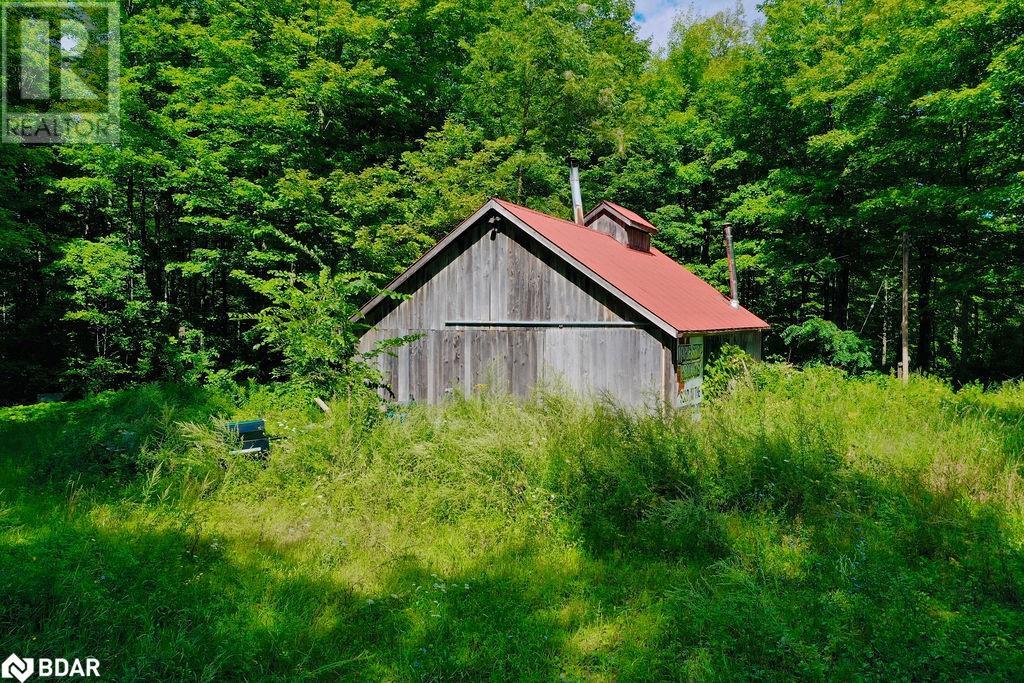 Listing 40314774 - Large Photo # 4