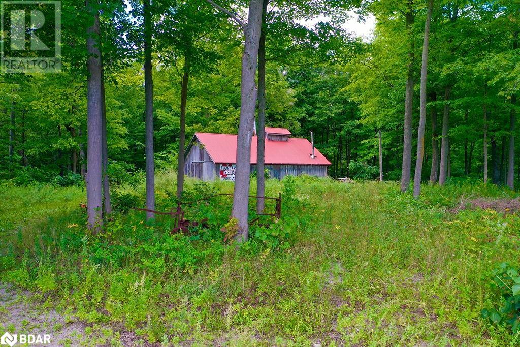 Listing 40314774 - Large Photo # 13