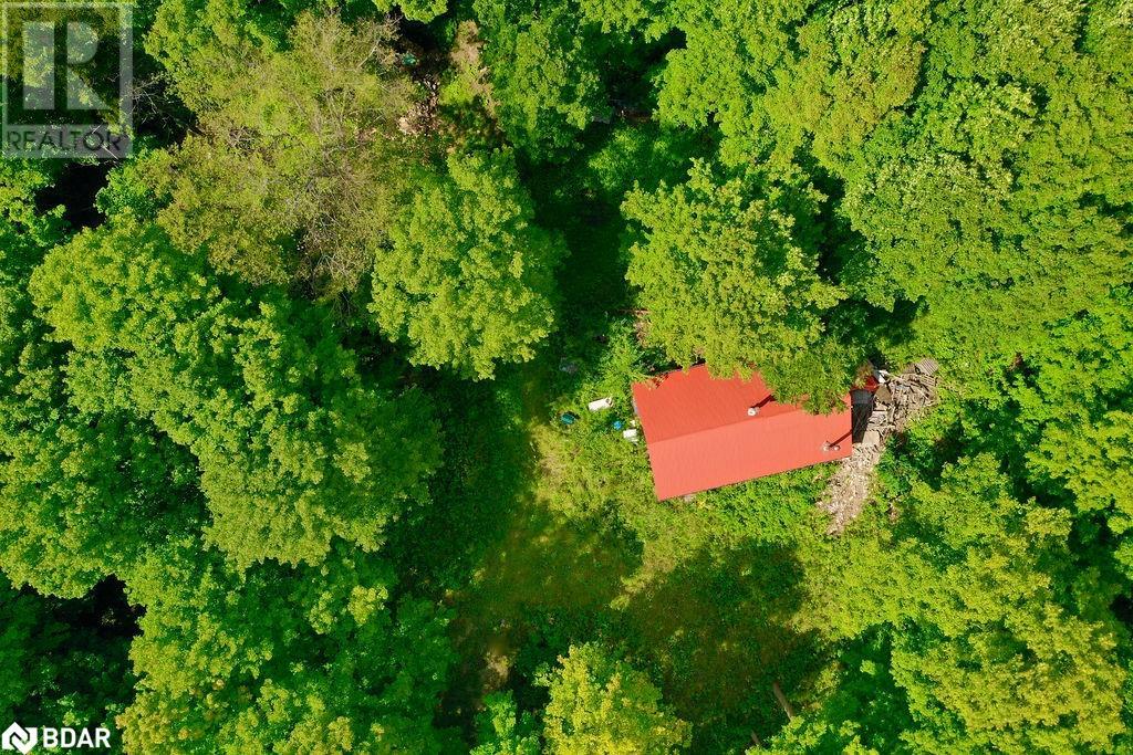 Listing 40314774 - Large Photo # 7