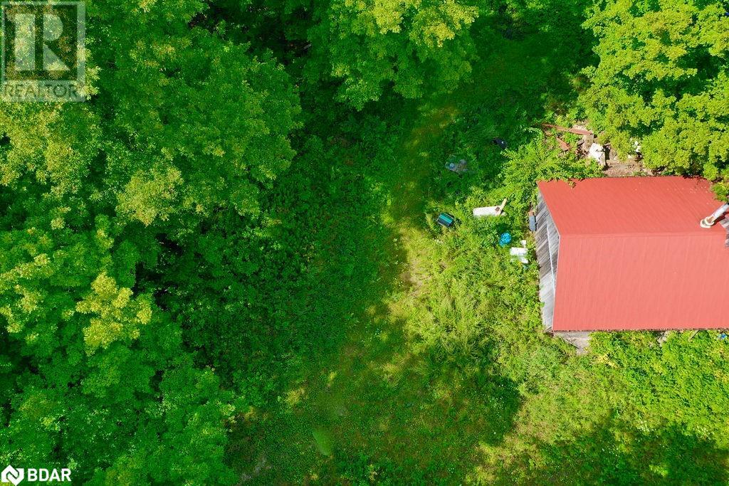 Listing 40314774 - Large Photo # 11