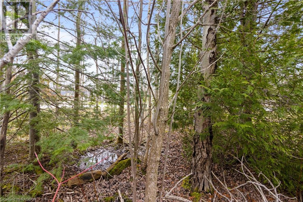 Listing 40314856 - Large Photo # 14