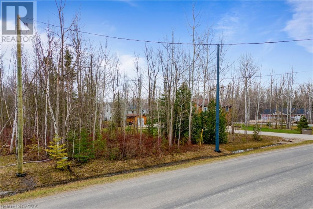 Listing 40314856 - Large Photo # 18