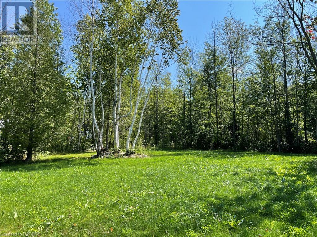 Listing 40314856 - Large Photo # 10