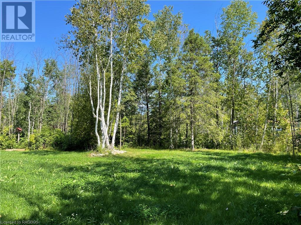 Listing 40314856 - Large Photo # 11