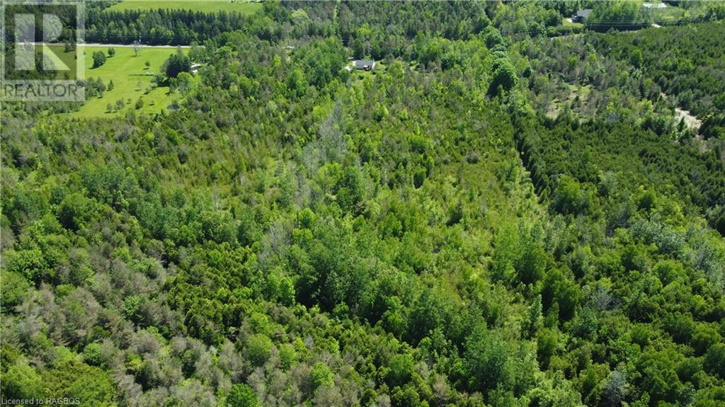 Listing 40317529 - Large Photo # 13