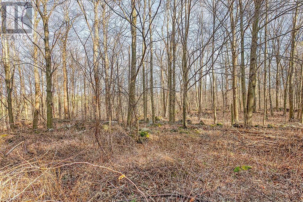 Listing 40321184 - Large Photo # 6