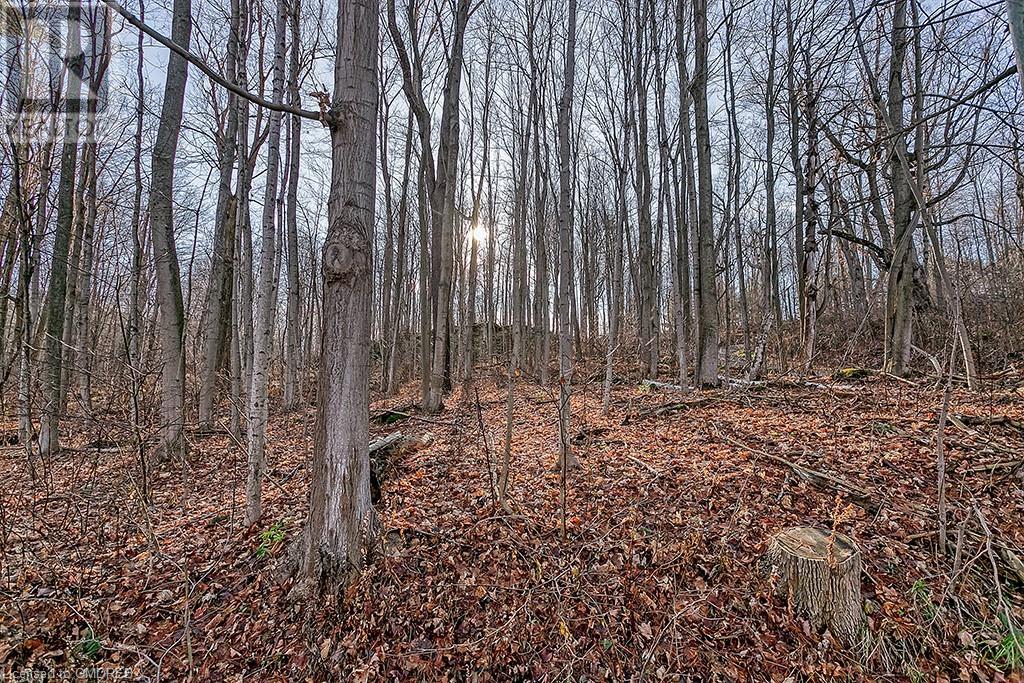 Listing 40321184 - Large Photo # 3
