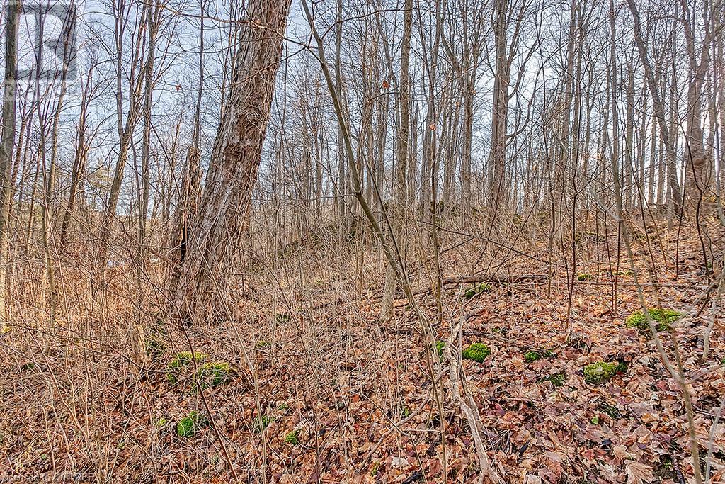 Listing 40321184 - Large Photo # 5