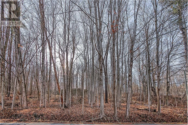 5650 CEDAR SPRINGS Road, Burlington
