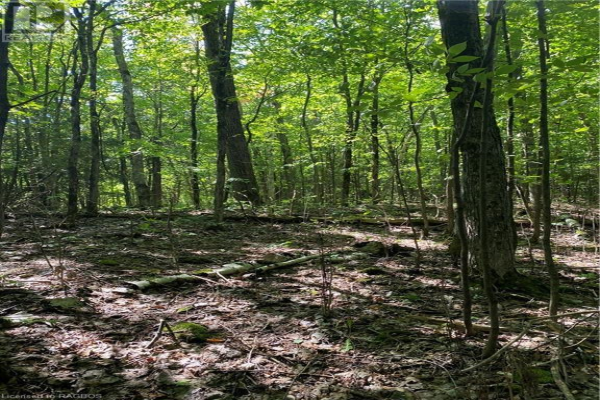 PT LT 3 GEORGIAN RANGE GREY ROAD 1, Georgian Bluffs