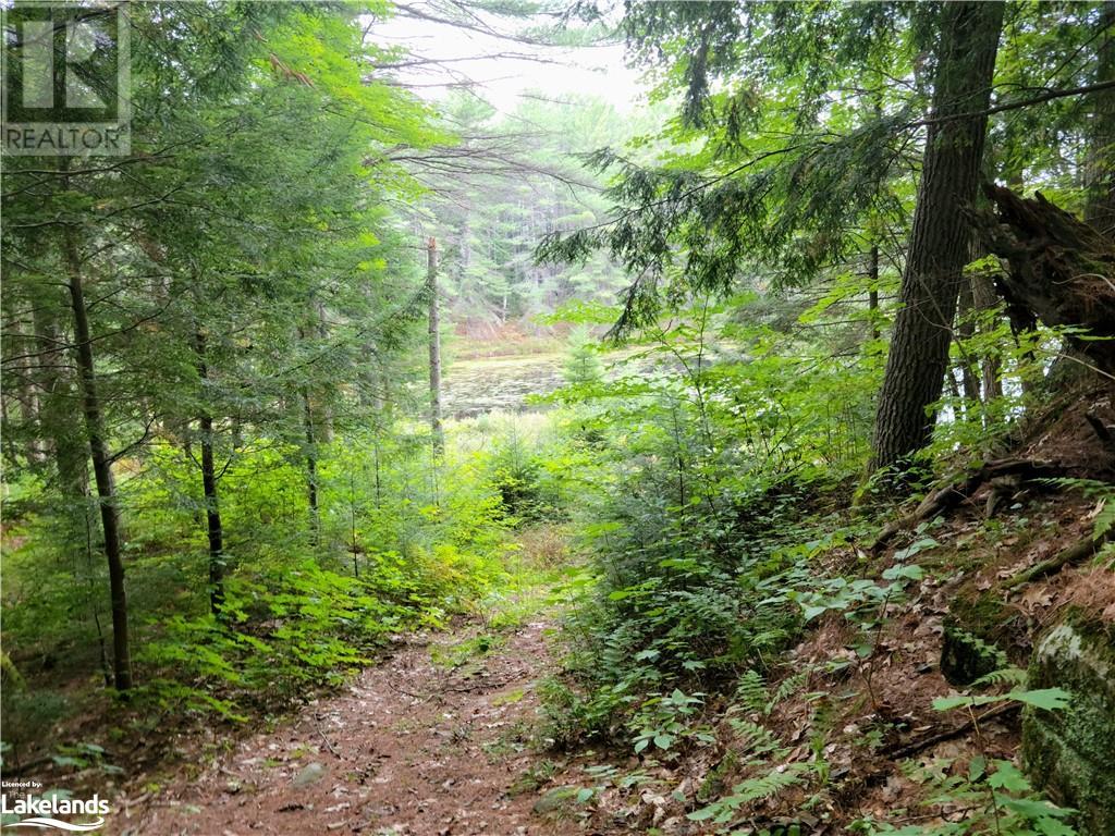 Listing 40323356 - Large Photo # 23
