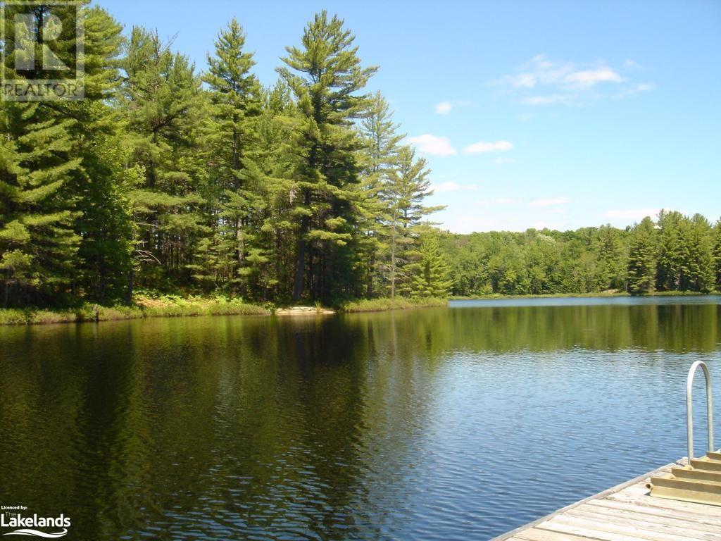 Listing 40323356 - Large Photo # 19